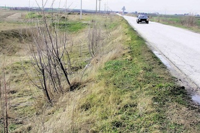 Novi vetrozaštitni pojasevi u planu