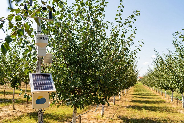 Prognoziranje štetočina i bolesti - nova funkcija meteo stanica namenjenih poljoprivrednicima