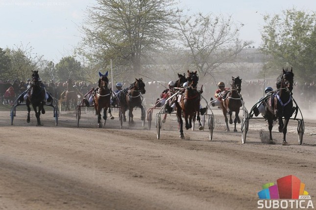 Konjički sport: U nedelju 7. trkački dan – Memorijal posvećen Tomislavu Višnjiću
