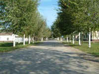 Gorani ozelenili Suboticu