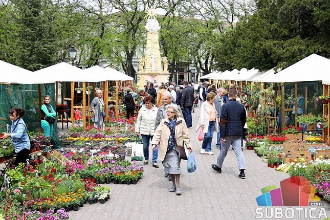 U četvrtak počinje prolećni vašar cveća "Garden flora"