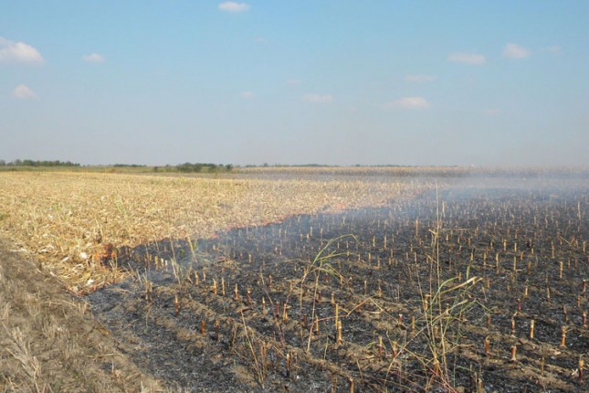 Apel Gradskog štaba za žetvu: Ne palite vatru blizu njiva sa strnim žitom