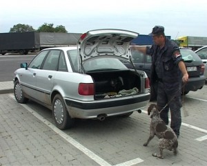 Švercovali veštačke zube