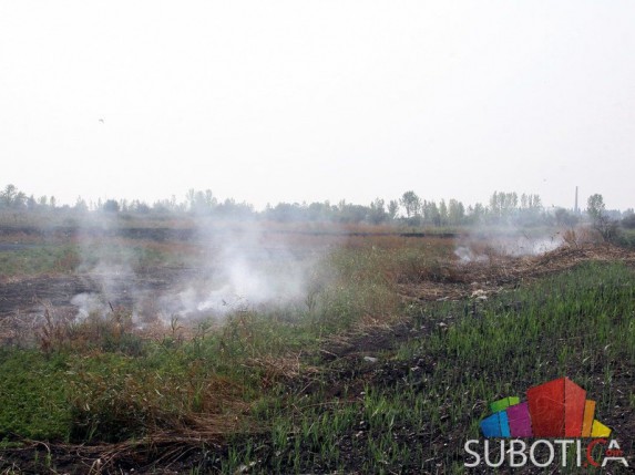 Počelo saniranje posledica požara