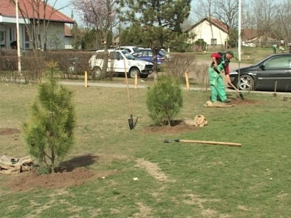 Uređuje se park u Peščari