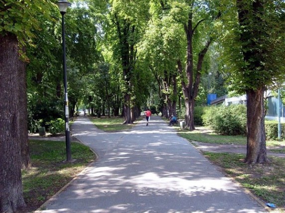 Plan rekonstrukcije Dudove šume