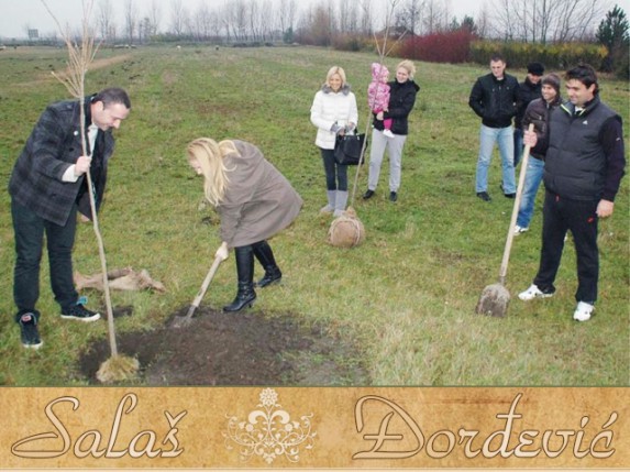 Mladenački i dečji šumarak na salašu Đorđević