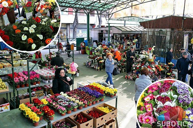 Produženo radno vreme cvetnih pijaca i groblja uoči i tokom verskih praznika