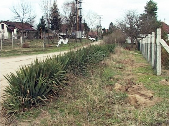 Asfaltiranje Bračke ulice sledeće godine