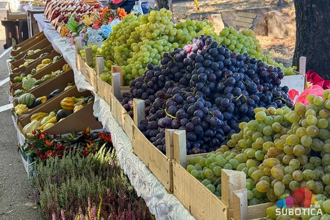 Berbanski dani u Hajdukovu spojili tradiciju i savremeni duh biciklističkog festivala