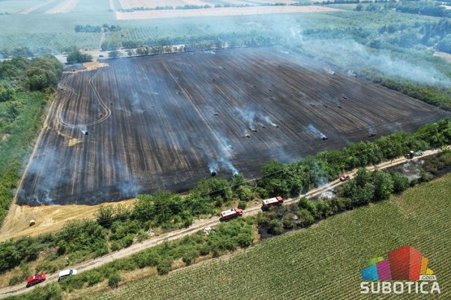 Požar na zemljištu na Palićkom putu lokalizovan, na površini od 70 hektara intervenisalo 13 vatrogasnih vozila