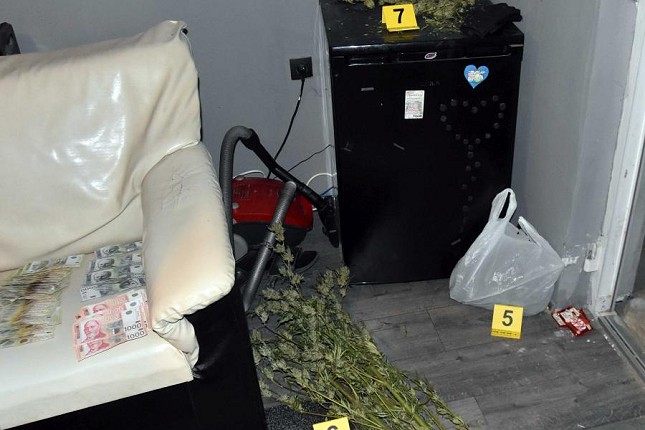 Uhapšen mladić osumnjičen za uzgajanje i prodaju marihuane