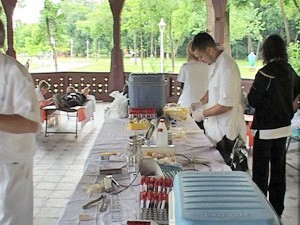 Humana subota na Paliću