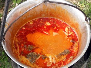 Subotičanin najbolji u kuvanju riblje čorbe