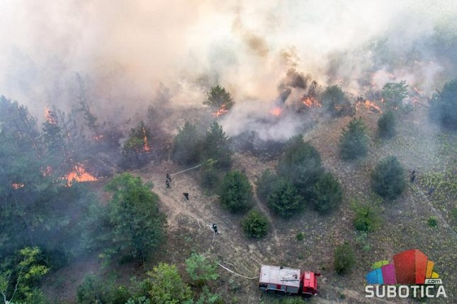 Posle dva časa intenzivne borbe vatrogasci obuzdali veliki požar u Radanovačkoj šumi