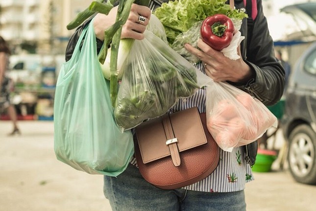 Radionica povodom međunarodnog dana bez plastičnih kesa