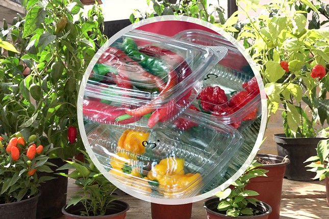 "Vatrena atmosfera" na petom Čili festivalu u Malom Radanovcu