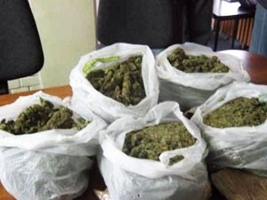 Uhapšena grupa sa 6 kilograma „skanka"