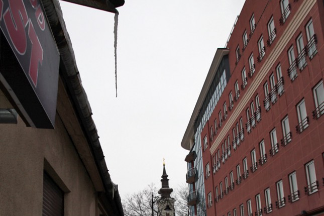 Ledenice - opasnost?