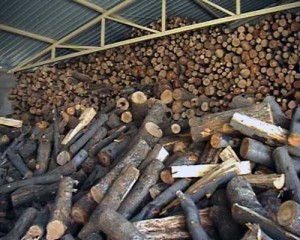 Počinje nova grejna sezona