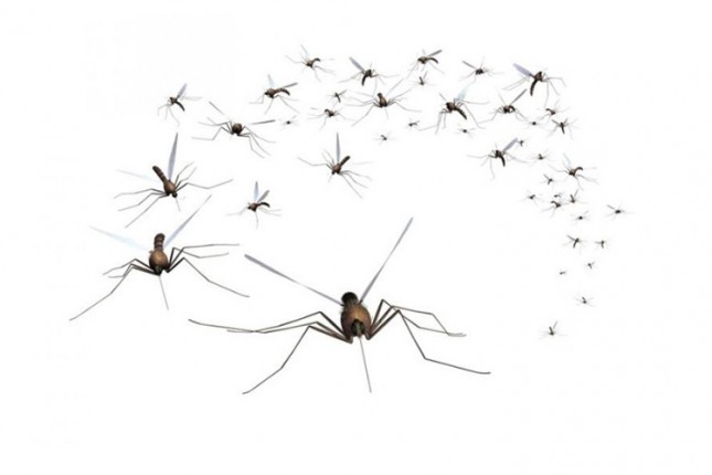 Tretmani suzbijanja komaraca iz vazduha i sa zemlje