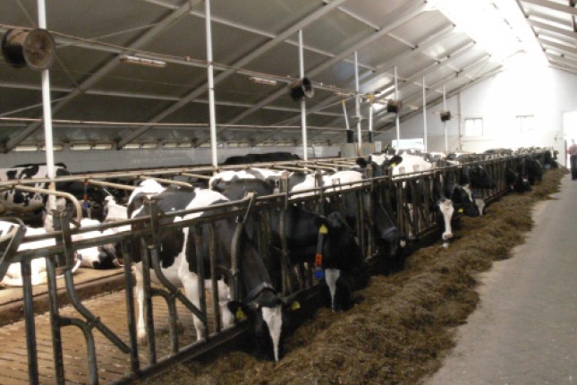 Danas razgovori, sutra prosipanje mleka?