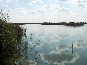 Voda u Ludaškom jezeru sve zagađenija