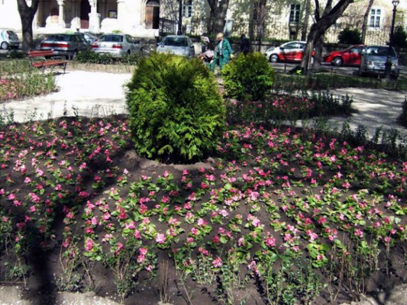 Nova zelena oaza u centru Subotice