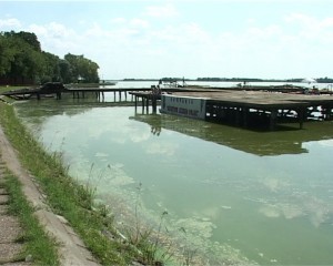 Čišćenje Palićkog jezera povereno Institutu za vodoprivredu