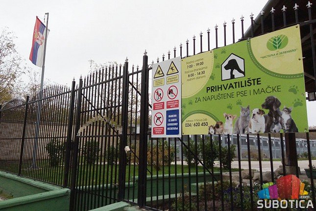 Bez kontrole vlasničkih pasa, nema ni kontrole pasa lutalica