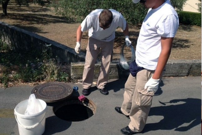 Od ponedeljka počinje sistemska deratizacija na teritoriji Grada Subotice