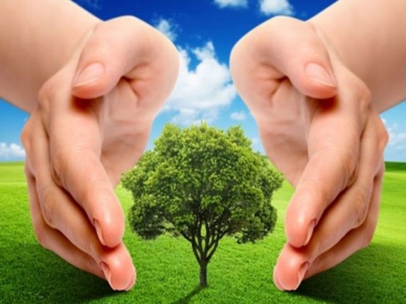 Raspisan konkurs za projekte zaštite i unapređenja životne sredine