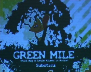 Projekti mladih subotičana i američke ambasade