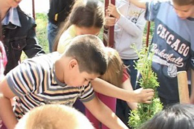 Međunarodna akcija sađenja drveća