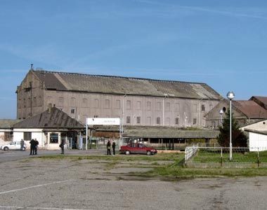 Zorka u petoj brzini