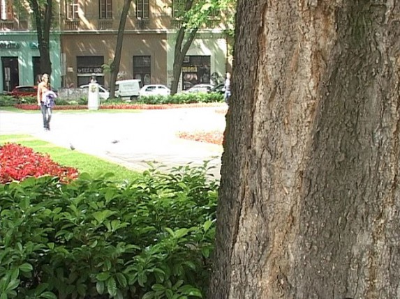 Svako stablo imaće svoju ličnu kartu