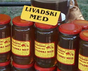 Dani pčelarstva u Subotici