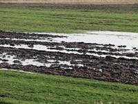 Voda iz njiva se povlači