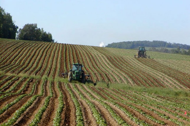 Počela setva u Subotici