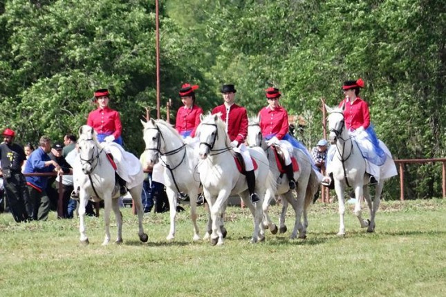 Peti "Vojvođanski galop" 20. maja na Zobnatici