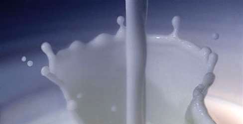 Tražimo zabranu uvoza mleka u prahu, SVM