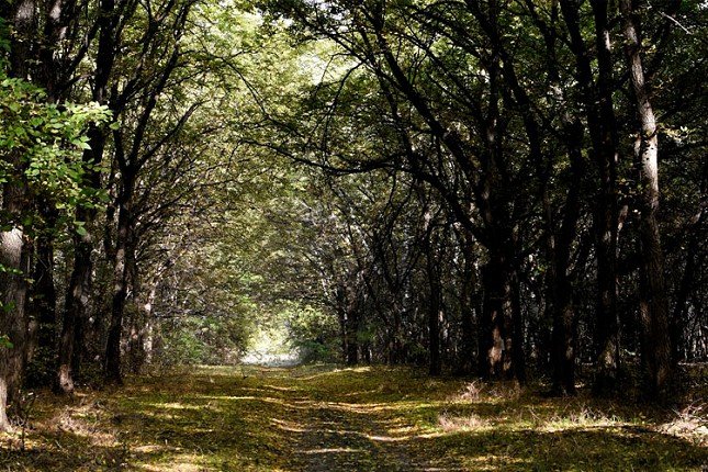 Memorijal "Mihajlo Kampoš" u nedelju u Subotičkoj peščari