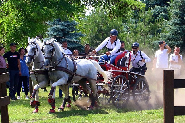 Prvenstvo Srbije u vožnji dvoprega na Ergeli Kelebija (17-19. oktobar)