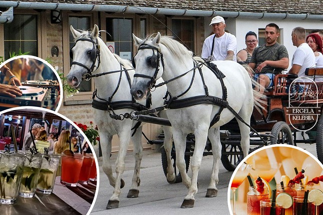 Koktel žurka i noćna vožnja kočijama na ergeli "Kelebija"