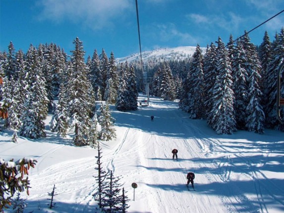 Subotičanima najinteresantniji Kopaonik