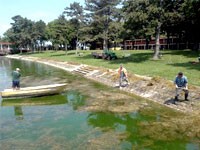 Košenje trave u jezeru Palić