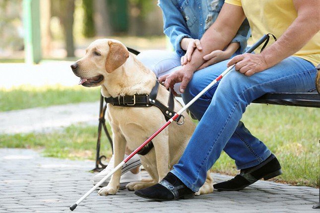 Ugostitelj sprečio slepu osobu da uđe u objekat sa psom vodičem