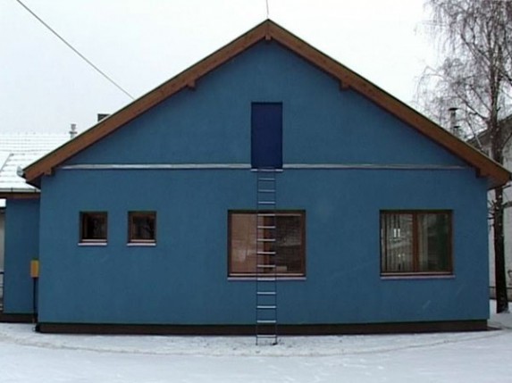 Dan čišćenja snega u Malom Bajmoku