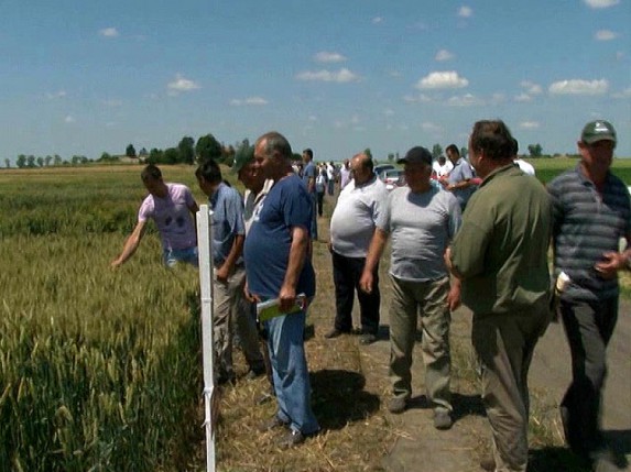 Očekuju se prinosi iznad proseka