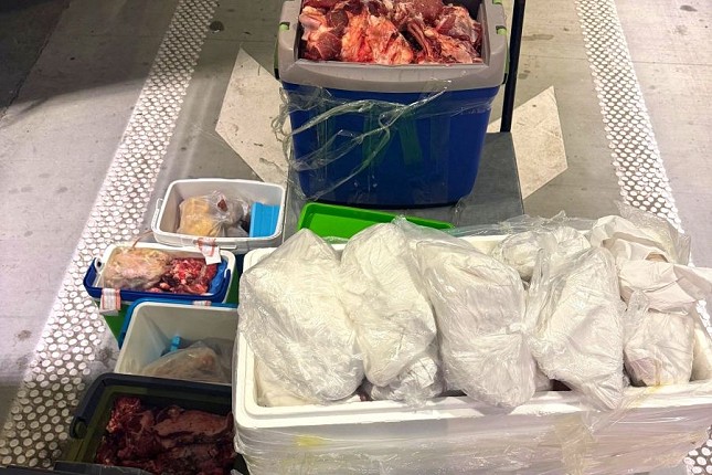 Pokušaj krijumčarenja svežeg mesa na Horgošu